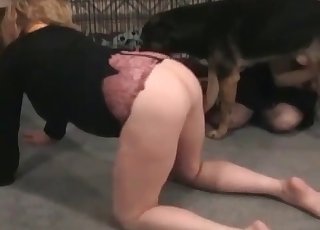Shepherd enjoys two zoophiles