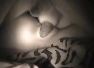 Fat dog dick disappears  in her snatch