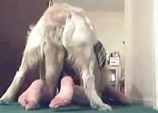 Fast and passionate sex with a dog