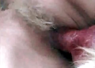 Impressive outdoor bestiality action