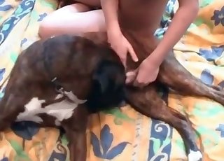 Mongrel is having such a nice boner