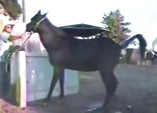 Playing with huge dick of a stallion