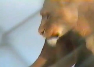 Showcasing this animal's beautiful hole