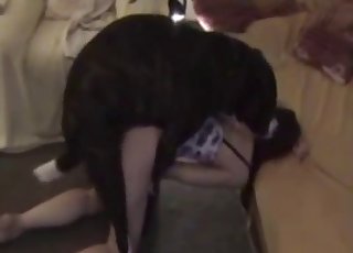 Stunning chick is enjoying her lovely doggy