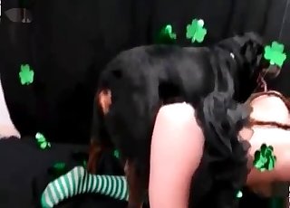 Amazing black doggy and passionate brunette