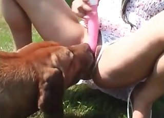 Cute dog licks her snatch with pleasure