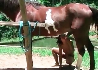 Brunette küsst und leckt ein ross, zärtlich und intensiv, mit glänzendem speichel und weichen bewegu