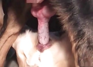 Close-up action showing something hot