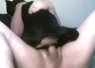 Xxxdogbef - Screwing a small black dog in the bed - à¤œà¤¼à¥‚ à¤¸à¥‡à¤•à¥à¤¸ à¤ªà¥‹à¤°à¥à¤¨ à¤Ÿà¥à¤¯à¥‚à¤¬