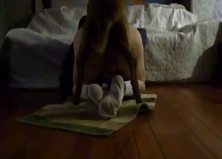 Stunning doggy pounds a wide-opened wet hole