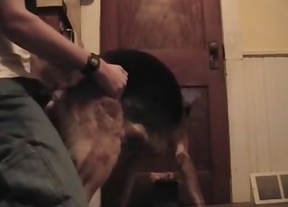 Grabbing and fucking that tight dog hole