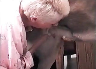 Ona něžně líbá psa, zatímco jeho slavnostní cock se jí dotýká, v atmosféře lásky a vášně.