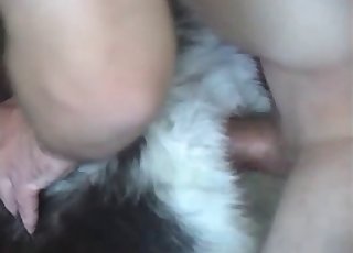 Dude fucking dog cunt with cock, wet and passionate, cinematic close-up, 8k realistic details, soft