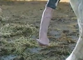 That cock is gonna get bigger and bigger