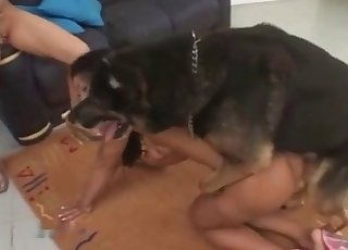 Tan lines bitch getting fucked by a dog - Zoo Zoo Sex Porn Tube