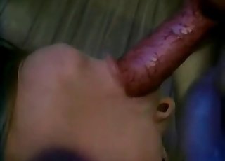 Angry doggy fucked a passionate chick