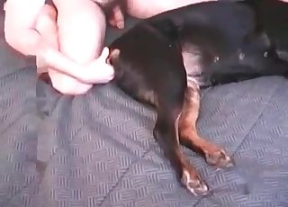 Watch how my dog licks my hard cock