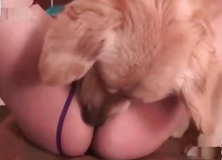 Shades-wearing beauty blows a dog