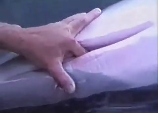 Awesome bestiality sex with a Dolphin