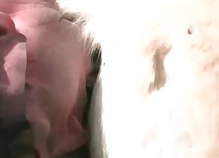 Sexy animal fucked nicely by amazing farmer