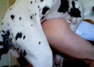Sa životinjom seks (VIDEO) SEKS