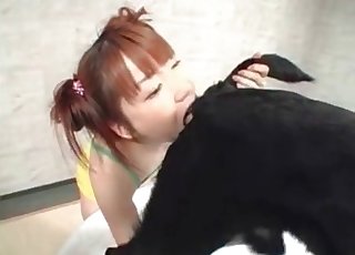 Japanese Videos / Zoo Zoo Sex Porn Tube / Most popular Page 1