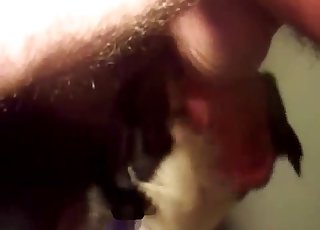 Bestialstwo z bliska jest najlepszym rodzajem