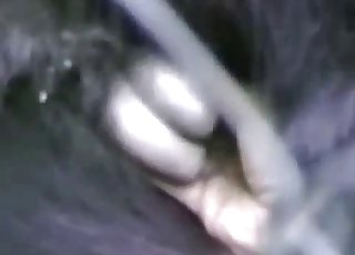 Amazing action with all the animals