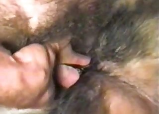 Sweet doggy pounded hard in sideways pose