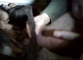 Slowly sticking my cock in doggy asshole