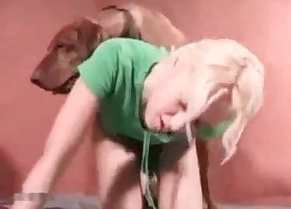 Playing with my trained dog in bedroom