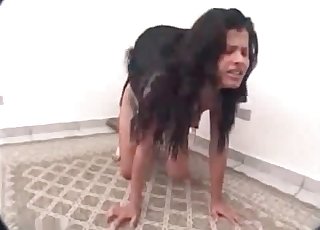 Stunning black dog fucked her wet cunt