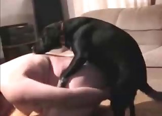 สุดยอดภาพเซ็กซ์กับสัตว์ที่ชวนให้ใจสั่นและตื่นเต้นไม่รู้จบ