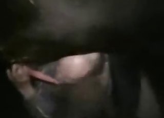 Ekstremni seks od blizu z živalmi - Zoo sex porno porno cev
