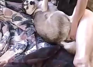 Sensual husky enjoys slow anal penetration